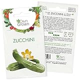 Zucchini Samen: Premium Zucchini Saatgut für die Anzucht von ca. 5 Zucchini Pflanzen – Samenfeste Gemüse Samen – Samen Gemüse – Gemüse Pflanzen Samen für Gemüse Anzucht – Gemüse Saatgut von OwnGrown… Foto, neu 2024, bester Preis 2,35 € Rezension