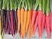 Photo Rainbow Blend Carrot Heirloom Seeds - B258 (150 Seeds, 1/4 Gram) review