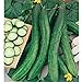 Photo Cetriolo Chinese Slangen Cucumbers Seeds (20+ Seeds) | Non GMO | Vegetable Fruit Herb Flower Seeds for Planting | Home Garden Greenhouse Pack review