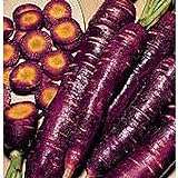 Purple Dragon Carrots Seeds (25+ Seeds)(More Heirloom, Organic, Non GMO, Vegetable, Fruit, Herb, Flower Garden Seeds (25+ Seeds) at Seed King Express) Photo, new 2024, best price $4.69 review