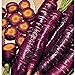 Photo Purple Dragon Carrots Seeds (25+ Seeds)(More Heirloom, Organic, Non GMO, Vegetable, Fruit, Herb, Flower Garden Seeds (25+ Seeds) at Seed King Express) review