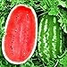 Photo KIRA SEEDS - Giant Astrakhan Watermelon 11 lbs - Fruits for Planting - GMO Free review