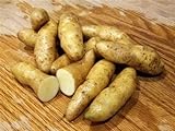 MITRAEE 100 Banana Fingerling Potato Vegetable Seeds Photo, new 2024, best price $9.50 review