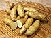 Photo MITRAEE 100 Banana Fingerling Potato Vegetable Seeds review