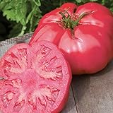 Burpee 'Caspian Pink' Heirloom | Large Pink Beefsteak Slicing Tomato | 30 Seeds Photo, new 2024, best price $6.13 ($0.20 / Count) review