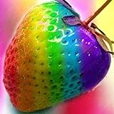 TENGGO Egrow 300 Teile/Beutel Regenbogen Erdbeere Samen Riesige Erdbeere Seltene Bonsai Bio Obst Samen Erdbeere Pflanzen für Hausgarten Foto, neu 2024, bester Preis 8,20 € Rezension