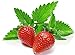Photo 100+ Strawberry Mint Herb Seeds Non-GMO Fragrant Rare! US Grown! review