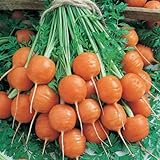 Parisian Carrot Seeds | Heirloom & Non-GMO Carrot Seeds | 250+ Vegetable Seeds for Planting Outdoor Home Gardens | Planting Instructions Included Photo, new 2024, best price $8.29 ($0.03 / Count) review