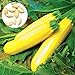 Foto 50 semillas de calabacín amarillo unids/bolsa fácil de crecer deliciosas verduras mini jardín decorar su patio Semillas de calabacín revisión