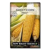 Sow Right Seeds - Bantam Sweet Corn Seed for Planting - Non-GMO Heirloom Packet with Instructions to Plant a Home Vegetable Garden Photo, new 2024, best price $5.49 review