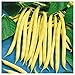 Photo Everwilde Farms - 1/4 Lb Organic Golden Wax Yellow Bean Seeds - Gold Vault review