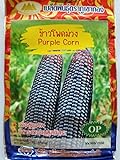 Thai Purple Waxy Glutinous Corn Seeds Photo, new 2024, best price $6.99 ($13.19 / Ounce) review