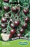 Tomate Mini Black Cherry Foto, neu 2024, bester Preis 2,21 € Rezension
