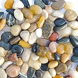 SACKORANGE 2 LB Aquarium Gravel River Rock - Natural Polished Decorative Gravel, Small Decorative Pebbles, Mixed Color Stones,for Aquariums, Landscaping, Vase Fillers (32-Oz) Photo, new 2024, best price $10.99 review