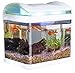 Foto Sweetypet Aquarium: Transport-Fischbecken mit Filter, LED-Beleuchtung und USB, 3,3 Liter (Mini Aquarium) Rezension
