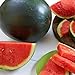 Photo Watermelon, Black Diamond, Heirloom, 50 Seeds, Super Sweet Round Melon review