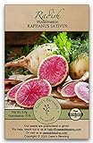 Gaea's Blessing Seeds - Radish Seeds (2.5g) Watermelon Radish Non-GMO Seeds with Easy to Follow Planting Instructions - Heirloom 89% Germination Rate Photo, new 2024, best price $5.99 review