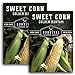 Photo Survival Garden Seeds - Golden Bantam Sweet Corn Seed for Planting - Packet with Instructions to Plant and Grow Yellow Corn on The Cob Your Home Vegetable Garden - Non-GMO Heirloom Variety - 2 Pack review