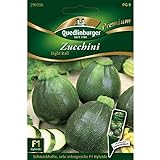 Zucchini 'Eight Ball' F1, 1 Tüte Samen Foto, neu 2024, bester Preis 4,27 € (0,36 € / stück) Rezension