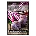 Photo Sow Right Seeds - Detroit Dark Red Beet Seed for Planting - Non-GMO Heirloom Packet with Instructions to Plant a Home Vegetable Garden - Great Gardening Gift (1) review