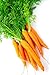 Foto Semillas de zanahoria temprana - Daucus carota revisión