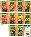 Photo Heirloom Tomato Seeds for Planting - 8 Varieties Plus 2 Basil Herb Seeds for Planting Indoors or Outdoor Gardens | Zebra, Roma, Yellow Plum, Amish, Cherry, Cherokee, Beefsteak, Krim, Basil review
