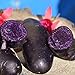 Foto 100 schwarz gehäutete lila Fleisch kartoffel samen hohe Keimrate leicht zu wachsen einfach zu handhaben Garten leckere Gemüse pflanzen für den Garten Hausbau Kartoffelsamen Einheitsgröße Rezension