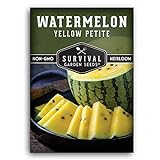 Survival Garden Seeds - Yellow Petite Watermelon Seed for Planting - Packet with Instructions to Plant and Grow Small Yellow Watermelons in Your Home Vegetable Garden - Non-GMO Heirloom Variety Photo, new 2024, best price $4.99 review