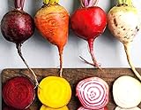 Rainbow Mix Heirloom Beet Seeds Gold, White, Red and Chioggia! bin316 (180+ Seeds, or 1/8 oz) Photo, new 2024, best price $4.39 review