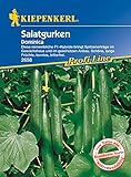 Salatgurke Dominica F1, reinweibliche F1-Hybride Spitzenerträge mit schönen langen Früchten kernlos bitterfrei Foto, neu 2024, bester Preis 5,39 € (5,39 € / Stück) Rezension