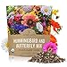 Photo Wildflower Seeds Butterfly and Humming Bird Mix - Large 1 Ounce Packet 7,500+ Seeds - 23 Open Pollinated Annual and Perennial Species review