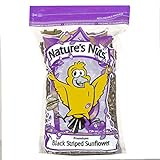 Nature's Nuts Premium Black Striped Sunflower Seed - 16 lb. Photo, new 2024, best price $42.56 review
