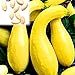 Foto Kürbiskerne, 25Pcs / Beutel Kürbis-Samen Essbare fettarme Bananenform Melone Natürliche Seed Cuaurbit Samen für die Landwirtschaft Rezension