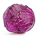 Photo Red Acre Cabbage Seeds, 250 Heirloom Seeds Per Packet, Non GMO Seeds, Botanical Name: Brassica oleracea VAR. capitata f. rubra, Isla's Garden Seeds review