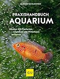 Praxishandbuch Aquarium: Mit über 400 Fischarten, Amphibien und Wirbellosen im Porträt. Der Bestseller jetzt komplett neu überarbeitet (GU Standardwerk) Foto, neu 2024, bester Preis 19,99 € Rezension