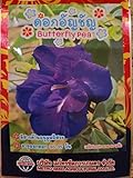 Butterfly Pea Flower Seeds Photo, new 2024, best price $6.99 ($99.15 / Ounce) review