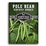 Survival Garden Seeds - Kentucky Wonder Pole Bean Seed for Planting - Packet with Instructions to Plant and Grow Delicious Snap Beans in Your Home Vegetable Garden - Non-GMO Heirloom Variety Photo, new 2024, best price $5.49 review