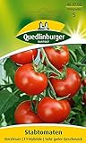 Tomatensamen - Tomate Harzfeuer F1 von Quedlinburger Saatgut Foto, neu 2024, bester Preis 2,81 € Rezension