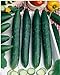 Photo Burpless #26 Hybrid Cucumber Seeds - Cucumis Sativus - 0.5 Grams - Approx 18 Gardening Seeds - Vegetable Garden Seed review