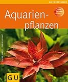 Aquarienpflanzen Foto, neu 2024, bester Preis 9,99 € Rezension