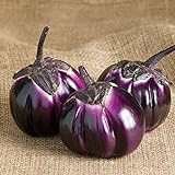 David's Garden Seeds Eggplant Barbarella (Purple) 25 Non-GMO, Hybrid Seeds Photo, new 2024, best price $3.45 review