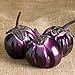Photo David's Garden Seeds Eggplant Barbarella (Purple) 25 Non-GMO, Hybrid Seeds review