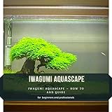 IWAGUMI AQUASCAPE: IWAGUMI AQUASCAPE – HOW TО AND GUIDE Photo, new 2024, best price $2.99 review