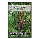 Sow Right Seeds - Rattlesnake Pole Bean Seed for Planting - Non-GMO Heirloom Packet with Instructions to Plant a Home Vegetable Garden Photo, new 2024, best price $5.49 review
