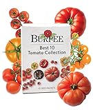 Burpee Best 10 Packets of Non-GMO Planting Tomato Seeds for Garden Gifts Photo, new 2024, best price $27.13 ($2.71 / Count) review