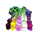 Park Seed Rainbow Mix Beet Seed Tape Photo, new 2024, best price $8.95 review