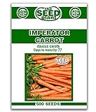 Imperator Carrot Seeds - 500 Seeds Non-GMO Photo, new 2024, best price $1.59 review