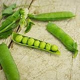 Little Marvel Shelling Pea - 50 Seeds - Heirloom & Open-Pollinated Variety, Easy-to-Grow & Cold-Tolerant, Non-GMO Vegetable Seeds for Planting Outdoors in The Home Garden, Thresh Seed Company Photo, new 2024, best price $7.99 review
