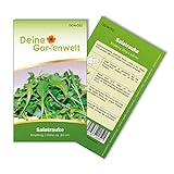 Salatrauke Einjährig Samen - Eruca sativa - Salatraukesamen - Gemüsesamen - Saatgut für 200 Pflanzen Foto, neu 2024, bester Preis 1,99 € (0,01 € / stück) Rezension