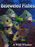 Bejeweled Fishes Photo, new 2024, best price $2.99 review